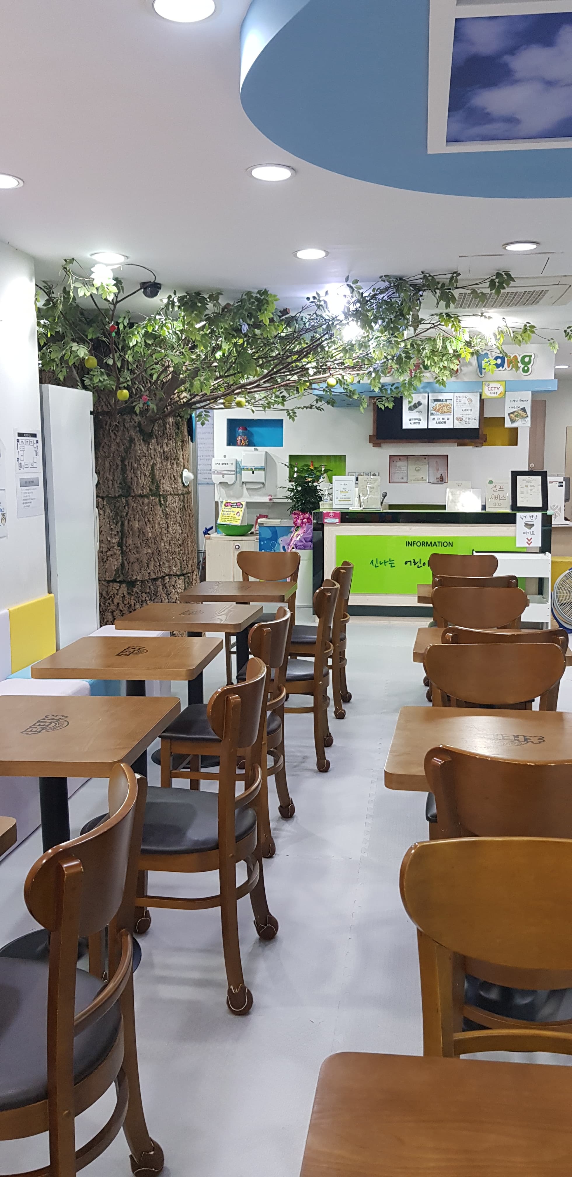 키즈팡팡 태백점 사진 3