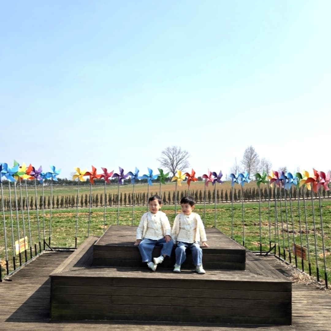 안성팜랜드 어린이놀이터 사진 1